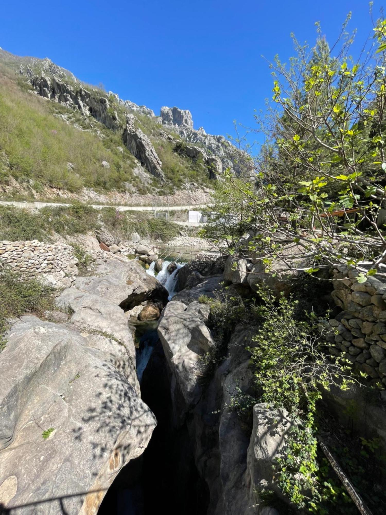 Bovilla Canyon Dajt Bagian luar foto